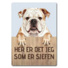 morsomt hundeskilt – sjefen – bulldog