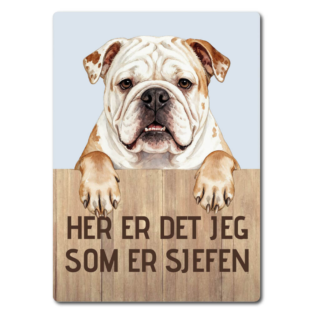 morsomt hundeskilt – sjefen – bulldog