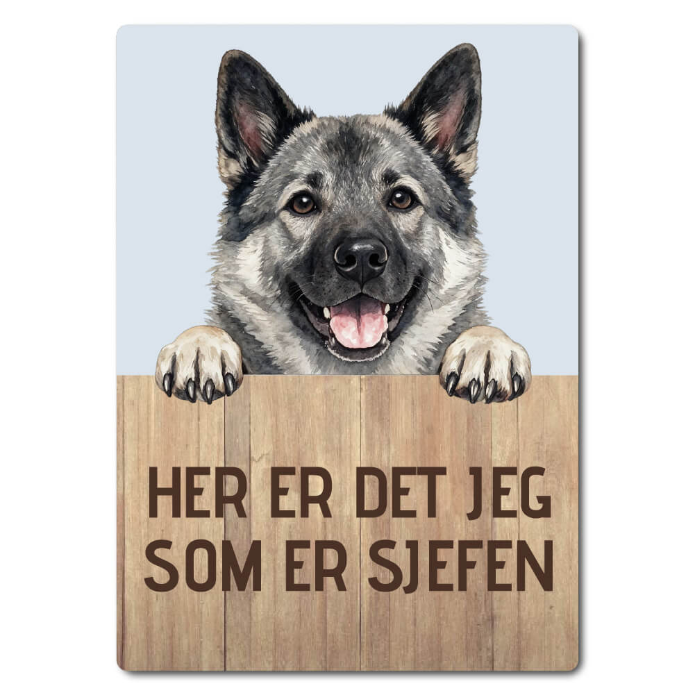 morsomt hundeskilt – sjefen – norsk elghund
