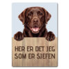 morsomt hundeskilt – sjefen – labrador retriever sjokoladebrun