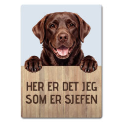 morsomt hundeskilt – sjefen – labrador retriever sjokoladebrun