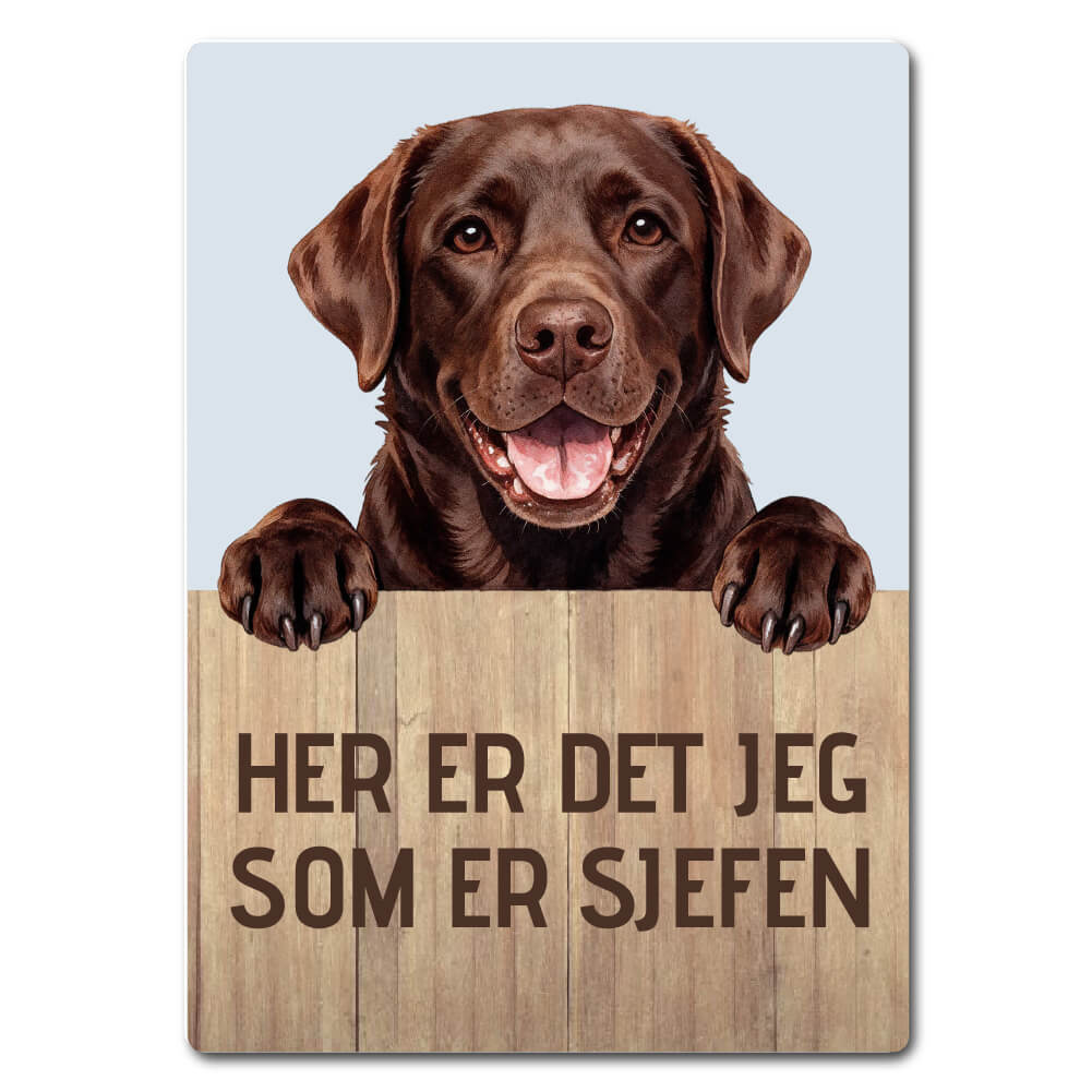morsomt hundeskilt – sjefen – labrador retriever sjokoladebrun