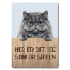 morsomt katteskilt – sjefen – blå/grå perser