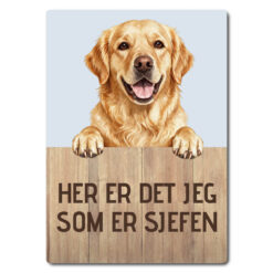 morsomt hundeskilt – sjefen – golden retriever