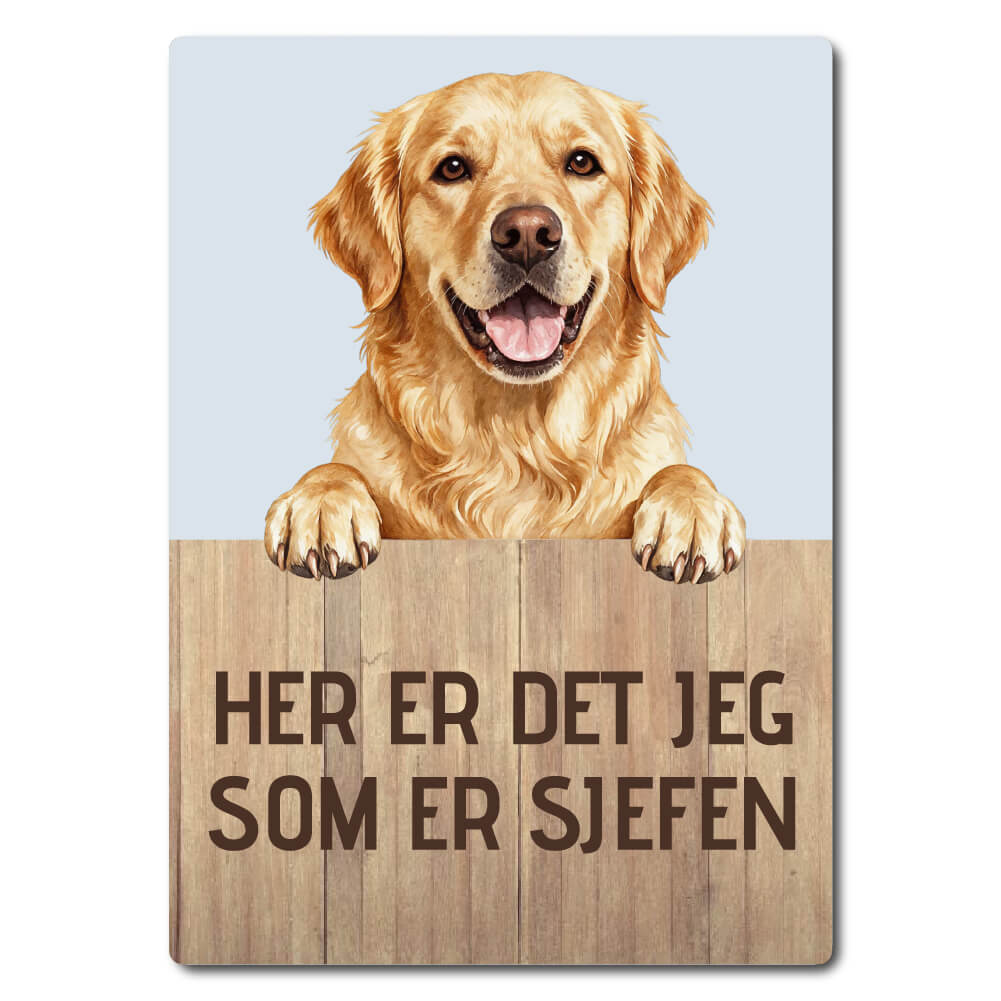 morsomt hundeskilt – sjefen – golden retriever