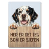 morsomt hundeskilt – sjefen – engelsk setter tricolor