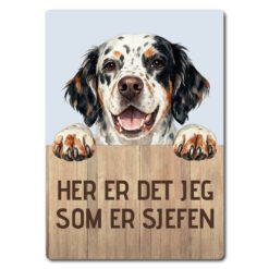 morsomt hundeskilt – sjefen – engelsk setter tricolor