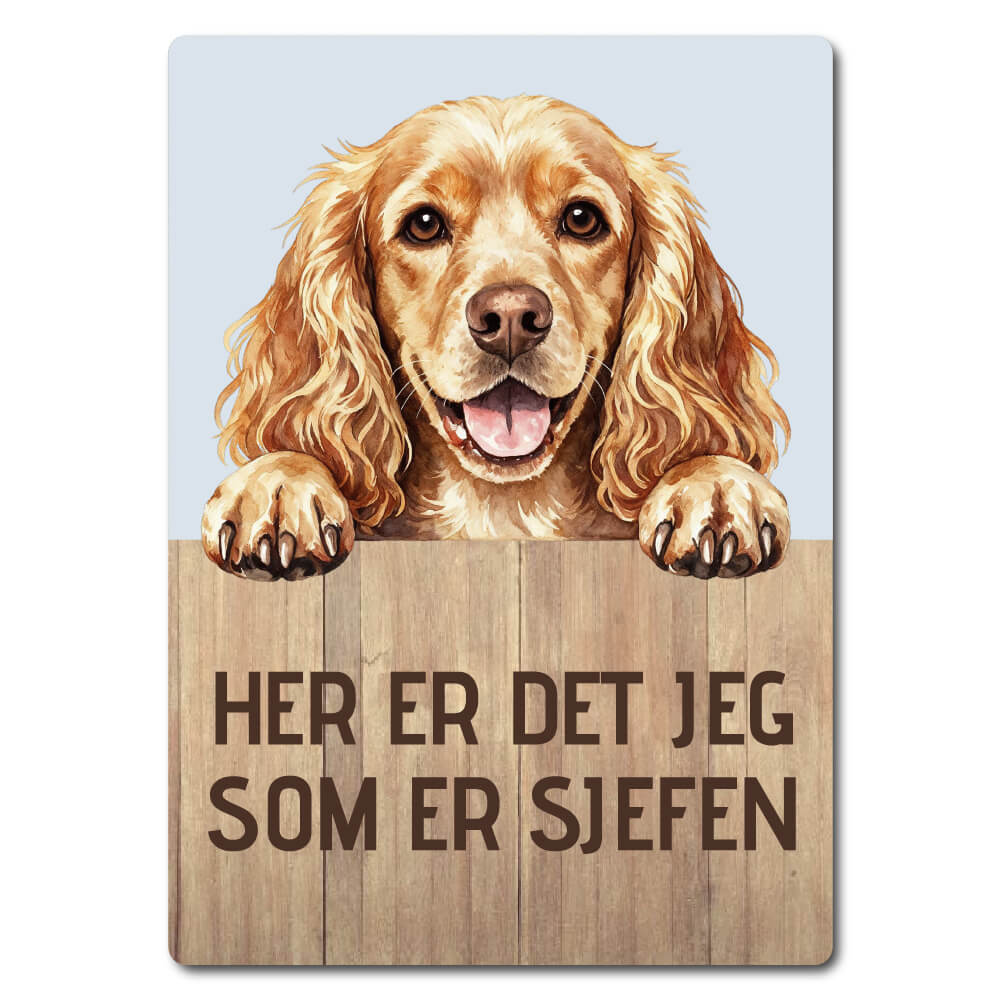 morsomt hundeskilt – sjefen – cocker spaniel