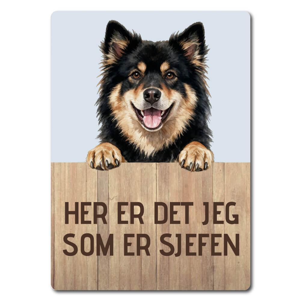 morsomt hundeskilt – sjefen – finsk lapphund
