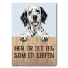morsomt hundeskilt – sjefen – engelsk setter
