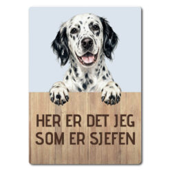 morsomt hundeskilt – sjefen – engelsk setter