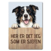 morsomt hundeskilt – sjefen – border collie tricolor