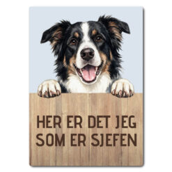 morsomt hundeskilt – sjefen – border collie tricolor