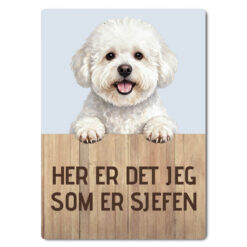 morsomt hundeskilt – sjefen – bichon havanais