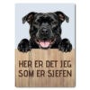 morsomt hundeskilt – sjefen – staffordshire bull terrier
