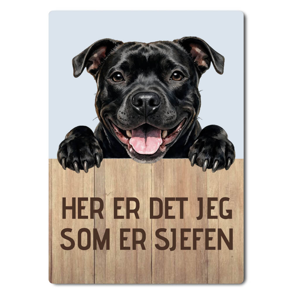 morsomt hundeskilt – sjefen – staffordshire bull terrier
