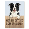 morsomt hundeskilt – sjefen – border collie