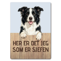 morsomt hundeskilt – sjefen – border collie
