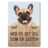 morsomt hundeskilt – sjefen – fransk bulldog