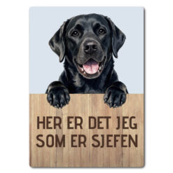 morsomt hundeskilt – sjefen – labrador retriever