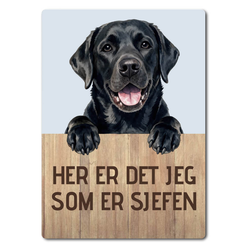morsomt hundeskilt – sjefen – labrador retriever