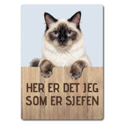 morsomt katteskilt – sjefen – hellig birma