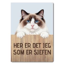 morsomt katteskilt – sjefen – maine coon (kopi)