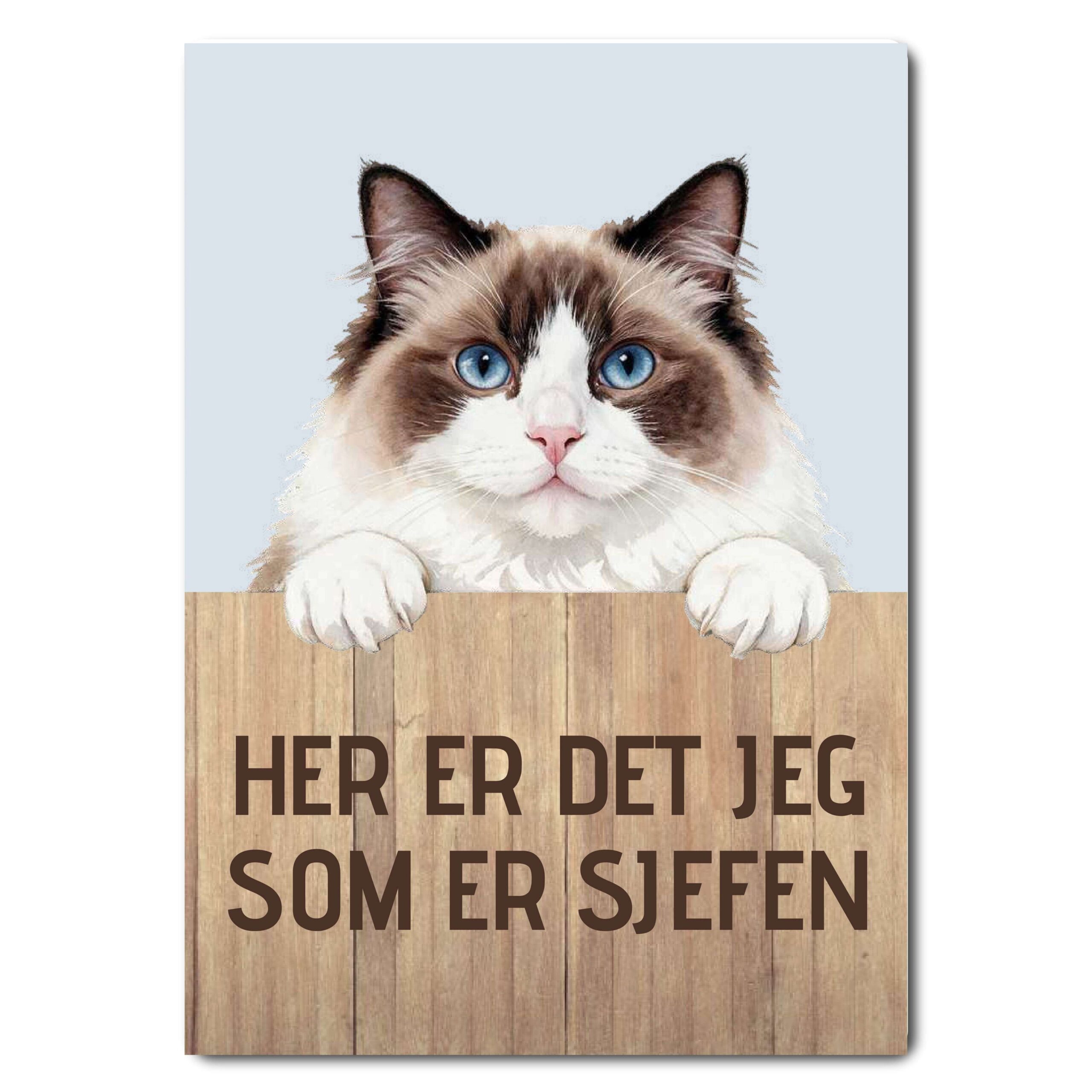 morsomt katteskilt – sjefen – maine coon (kopi)