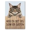 morsomt katteskilt – sjefen – maine coon
