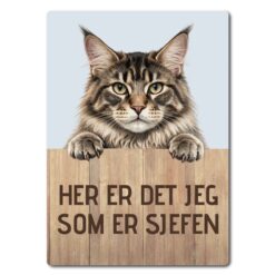 morsomt katteskilt – sjefen – maine coon