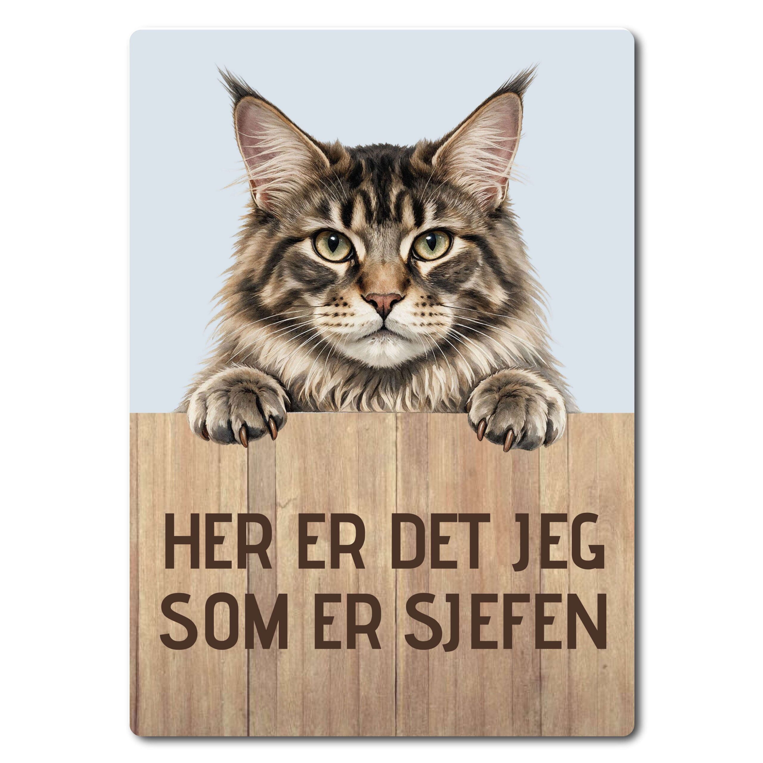 morsomt katteskilt – sjefen – maine coon