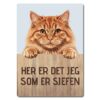 morsomt katteskilt – sjefen – rød/oransje katt