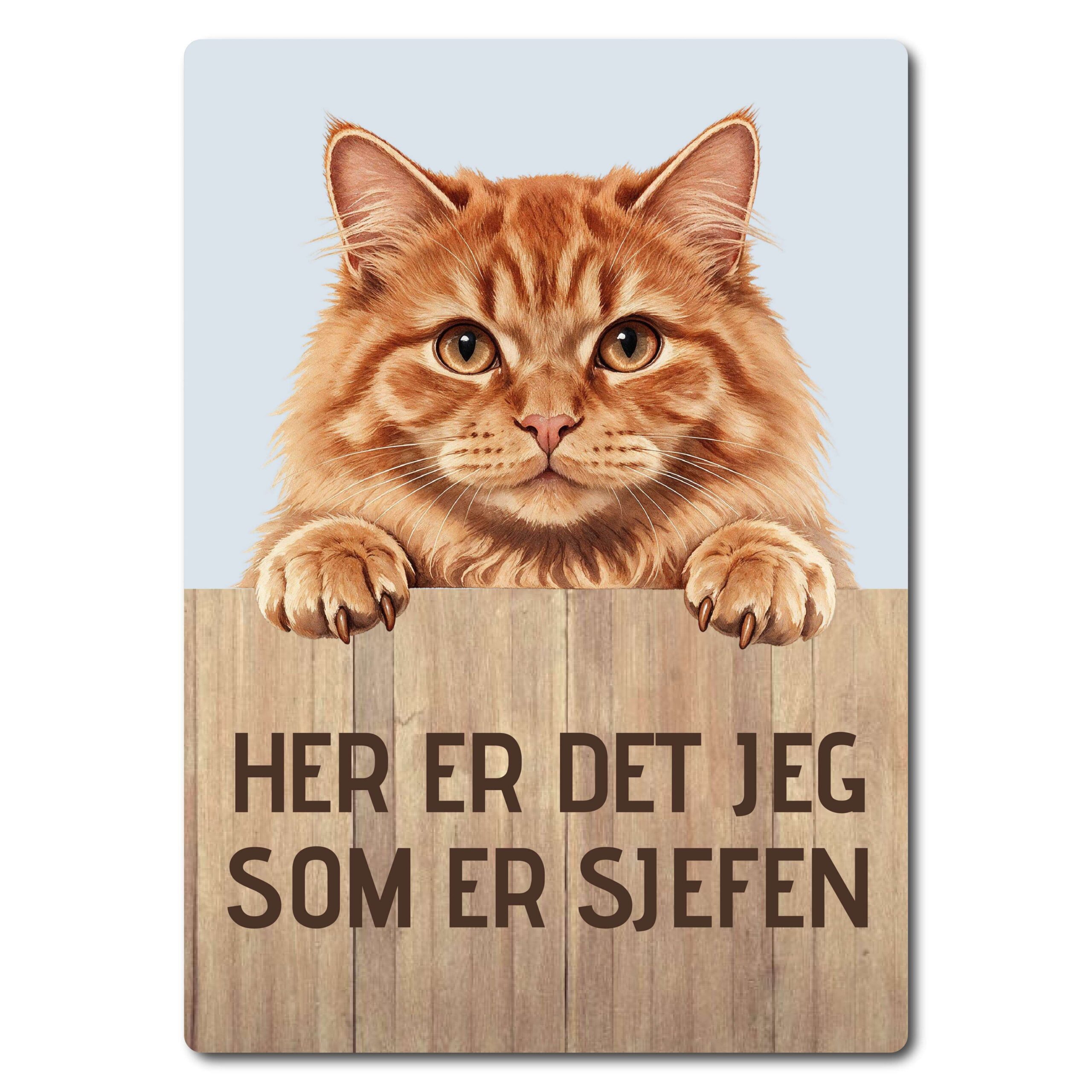 morsomt katteskilt – sjefen – rød/oransje katt