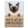 morsomt katteskilt – sjefen – thai katt