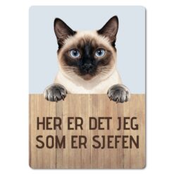morsomt katteskilt – sjefen – thai katt
