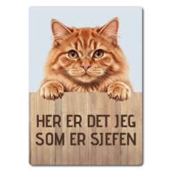 morsomt katteskilt – sjefen – rød/oransje katt
